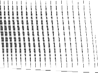 bppc6-06 decomposed, zeros are white
