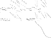 dsbmip decomposed, zeros are white