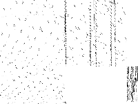 nag decomposed, zeros are white