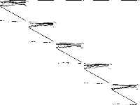 neos-4954274-beardy decomposed, zeros are white