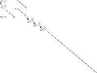 ns2124243 decomposed, zeros are white