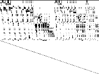 nsrand-ipx decomposed, zeros are white