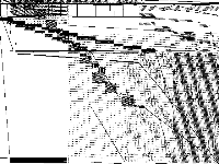 bab model group composite image, zeros are white