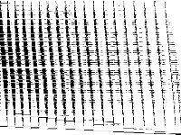 bppc model group composite image, zeros are white
