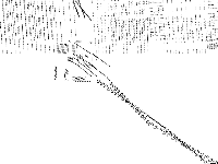 c1s1 model group composite image, zeros are white