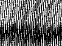 neos-pseudoapplication-106 model group composite image, zeros are white