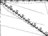 neos-pseudoapplication-13 model group composite image, zeros are white