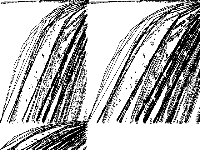 opm2 model group composite image, zeros are white