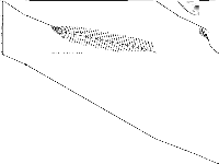 rpp model group composite image, zeros are white