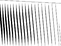 bppc6-06 raw, zeros are white