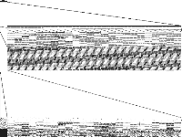 dano3mip raw, zeros are white