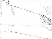 diameterc-mstc-v20a190d5i raw, zeros are white
