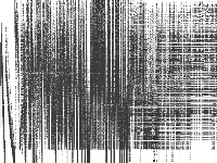 ds-big raw, zeros are white