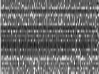 eil33-2 raw, zeros are white