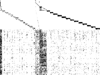 msc98-ip raw, zeros are white