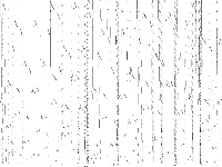 nag raw, zeros are white