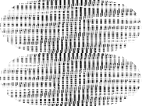 neos-5052403-cygnet raw, zeros are white