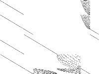 nj1 raw, zeros are white