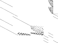 nj3 raw, zeros are white