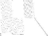 snp-02-004-104 raw, zeros are white