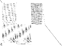 snp-10-052-052 raw, zeros are white