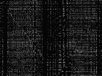 t1717 raw, zeros are white