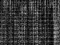 z26 raw, zeros are white