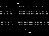 bppc8-09 decomposed, zeros are black