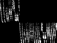 ds decomposed, zeros are black