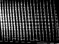 bppc model group composite image, zeros are black