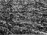 core model group composite image, zeros are black