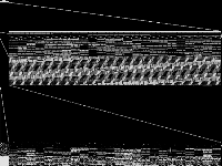 dano3mip raw, zeros are black