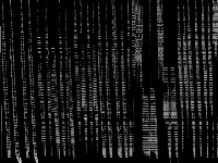 ds raw, zeros are black