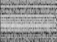 eil33-2 raw, zeros are black