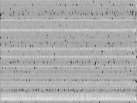 eilC76-2 raw, zeros are black