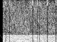 lr1dr12vc10v70b-t360 raw, zeros are black