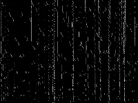 nag raw, zeros are black