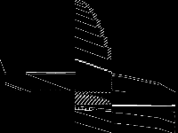 nb10tb raw, zeros are black