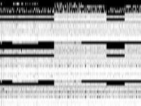 ns1952667 raw, zeros are black