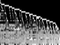 nw04 raw, zeros are black