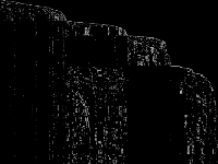 seymour raw, zeros are black