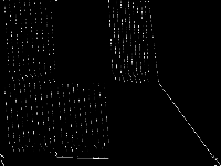 snp-02-004-104 raw, zeros are black