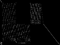 snp-04-052-052 raw, zeros are black