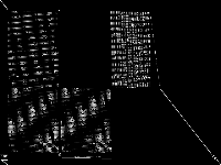 snp-10-052-052 raw, zeros are black