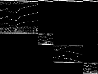 supportcase12 raw, zeros are black